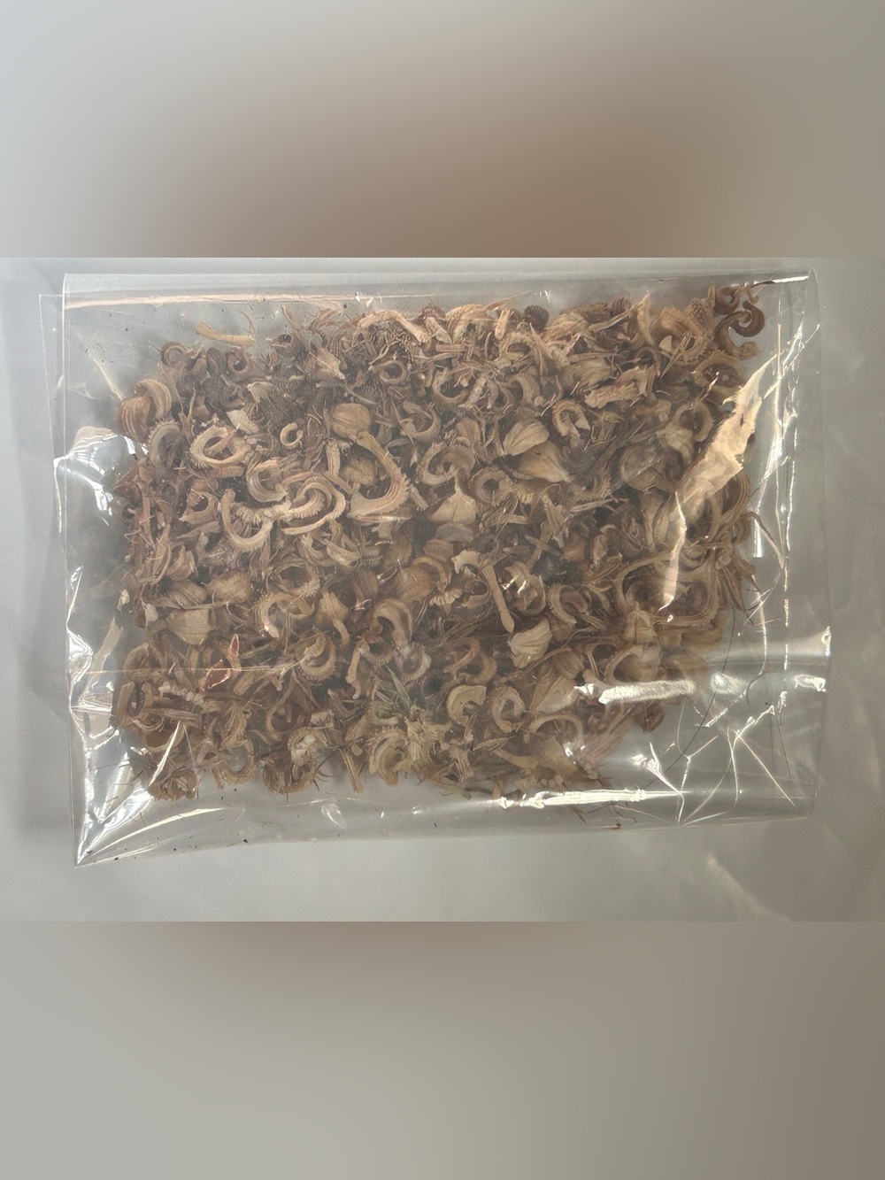 Calendulas flower seeds - Picture 2 of 3